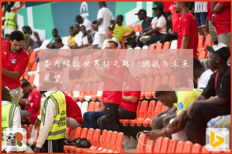 委内瑞拉世界杯之路：挑战与未来展望