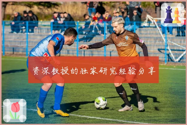 资深教授的独家研究经验分享