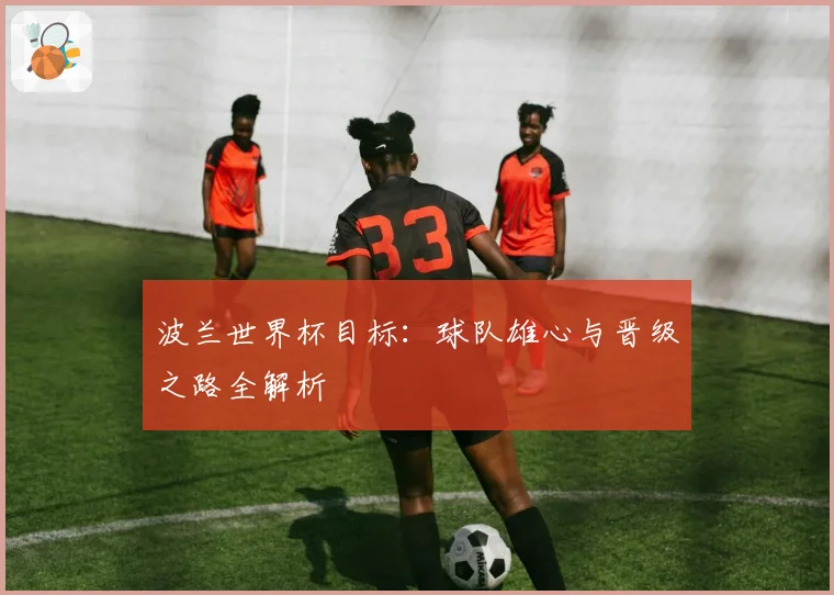 波兰世界杯目标:球队雄心与晋级之路全解析